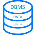 DBMS